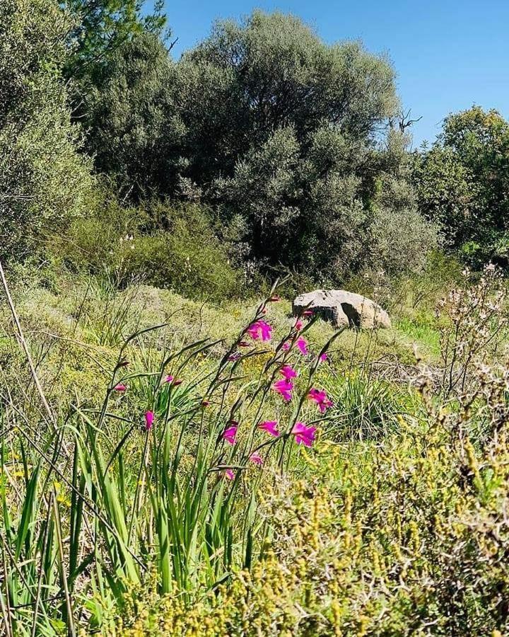 Amargeti Kaizer Agrotourism旅馆 外观 照片