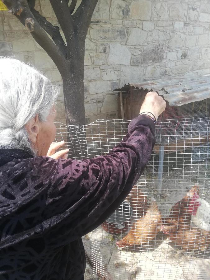 Amargeti Kaizer Agrotourism旅馆 外观 照片